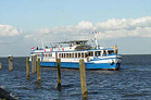 MS Angela Esmee